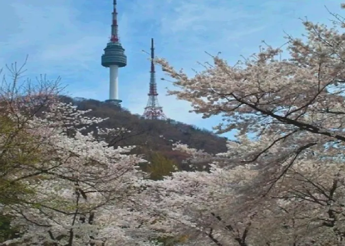 1 Minute From Hongdae Entrance Station #4 Beds #hotel Bedding #hongdae Main Street #famous Restaurants #luggage Storage #popular #3 #melow Hongdae * Seoul